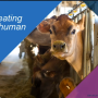 Sara Place, Elanco chief sustainability officer, offers insights on the questions she hears frequently from consumers and the balanced answers she is able to provide, thanks to science.