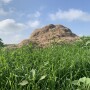 Manure that has been stockpiled in a winter feeding area should be turned at least once for volume reduction and every 10-14 days for weed seed, pathogen and parasite reduction. 