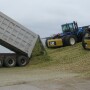 Corn Silage