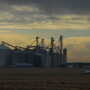 “Traders were expecting a super negative report, they got a report that had some stuff in it they were already expecting,” Angie Setzer of Citizens Grain LLC tweeted. “....so as much as I hate to say it, today's close and extended forecast will likely mean more for forward direction now.”