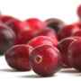 cranberries_000004718552large.jpg