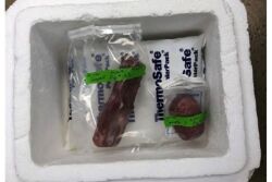 Samples in a cooler