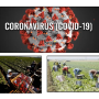 Coronavirus image