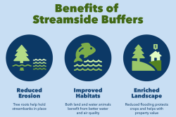 Benefits of seaside buffers.png
