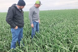 Seth Nelson and Ryan Williams of L&M Cos. Inc. in April take a look at the company’s onion fields in Calipatria, Calif.