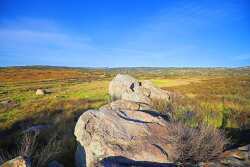 The Duke’s former 2,000 acre ranch outside Los Angeles is being touted for its potential as a cattle grazing operation and a marijuana farm.