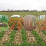 Interplanting cash and cover crops allows Jason Mauck to capture sunlight and bottle up energy.