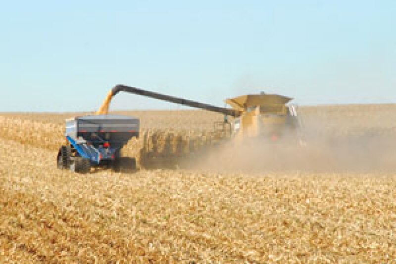 Combine in field