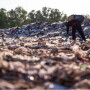 Food waste