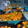 Colombian bell peppers