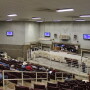 BT_Sale_Barn_Cattle