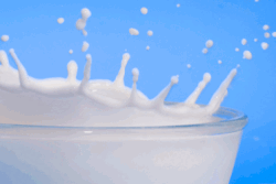 milk.gif