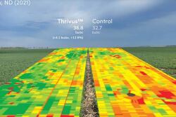 Thrivus