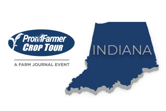 Indiana crop tour results