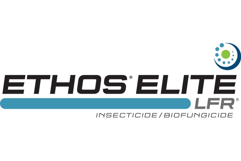 Ethos Elite.jpg