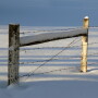 snow-1342457-1599x1070