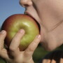 taking-a-bite-1325905-1920x1280