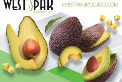 West Pak Avocado