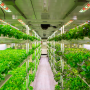Senn Brothers Produce vertical farm