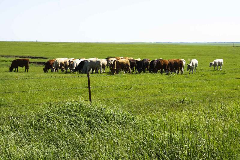 Wilson Ranch