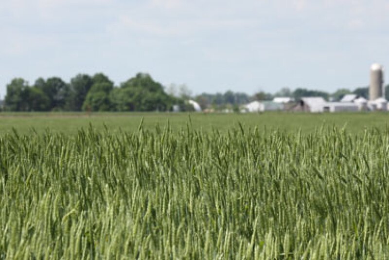 A farm’s brand affects everything from input costs to the ability to acquire farmland and employees, says Brett Oelke, a University of Minnesota Extension agricultural business expert. 