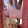Depending on the size of the animal, viscosity of the product and administration protocols, a variety of needles might be needed. Here’s some guidelines to help decide.