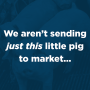 We aren't sending just this little pig to market...