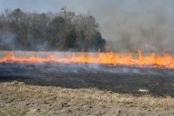Burning-Hayfield