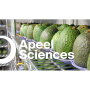 A shelf of avocados ripening with a logo of Apeel Sciences overlaying the image. 