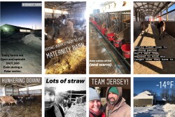 farming during a polar vortex