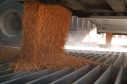 “In my view, this has accentuated the impact of price-trend followers in the market,” Allen said. “These days there are very few long-term investors holding positions based on a specific view on the commodities.”