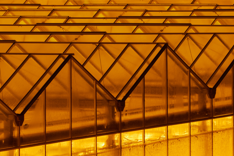 Greenhouse