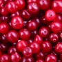 cranberries1.jpg