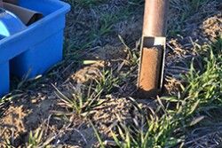 Soil testing helps determine nutrient needs