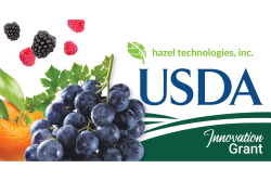 Hazel Tech