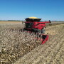 Case IH AF11 combine copy.jpg