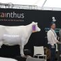 World Dairy Expo Technology