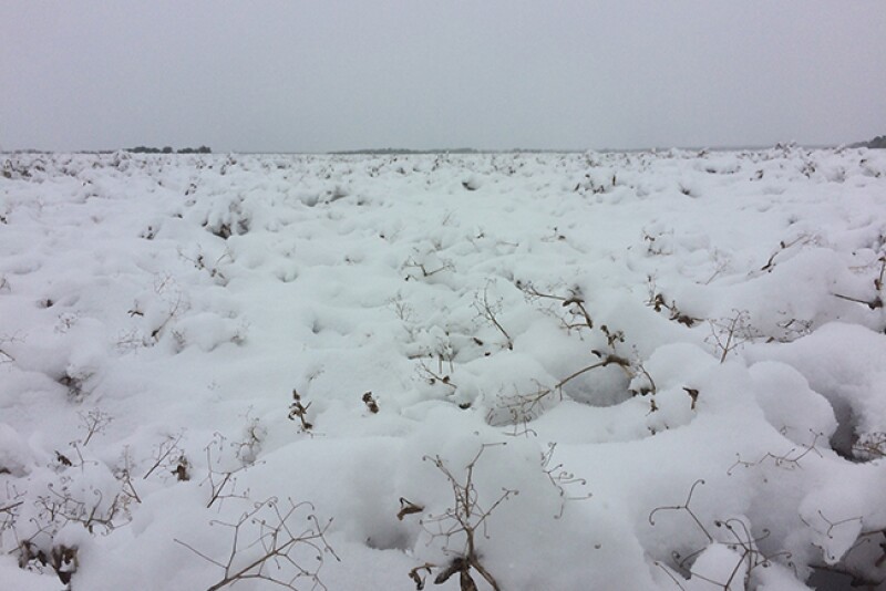 More snow is coming to farmers already reeling from flood damage
