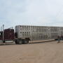 The Modernizing Agricultural Transportation Act has been introduced in the House of Representatives and is yet another legislative proposal that offers fixes for livestock haulers regarding hours of service rules.