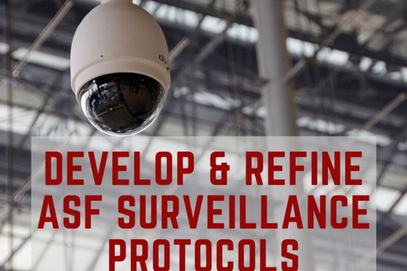 ASF Surveillance