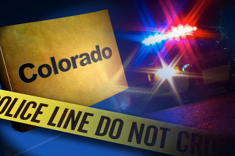 A rancher estimates that $75,000 worth of bred heifers were stolen from his property east of Denver. 