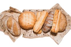 La Brea Bakery Reserve pain de Campagne loaf, Italian round, Reserve sourdough demi-baguette, Reserve Fortuna wheat loaf, Reserve French demi-baguette, and Reserve Struan loaf.
