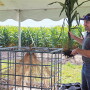 Hybrid Selection