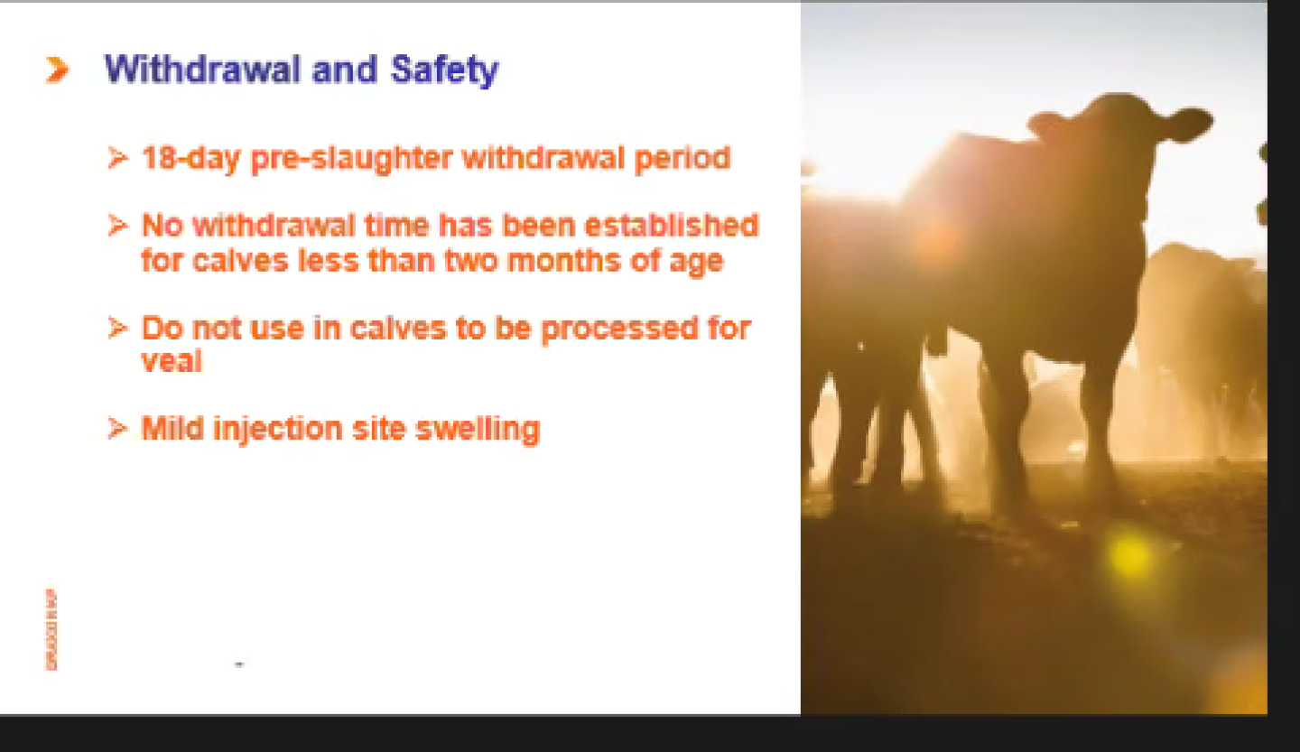 withdrawal%20and%20safety.PNG
