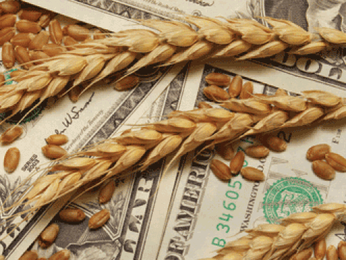 Wheat Dollars
