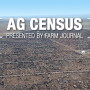 U.S. feedlots with more than 500 cattle on feed increased in numbers 12% during the five year period between 2012 and 2017, according to the 2017 Census of Agriculture. 