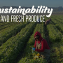 sustainability
