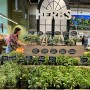 Market Crush: Central Market