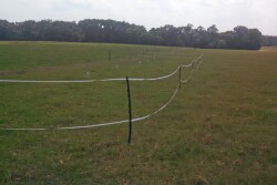 Bearden-pasture-fertilization