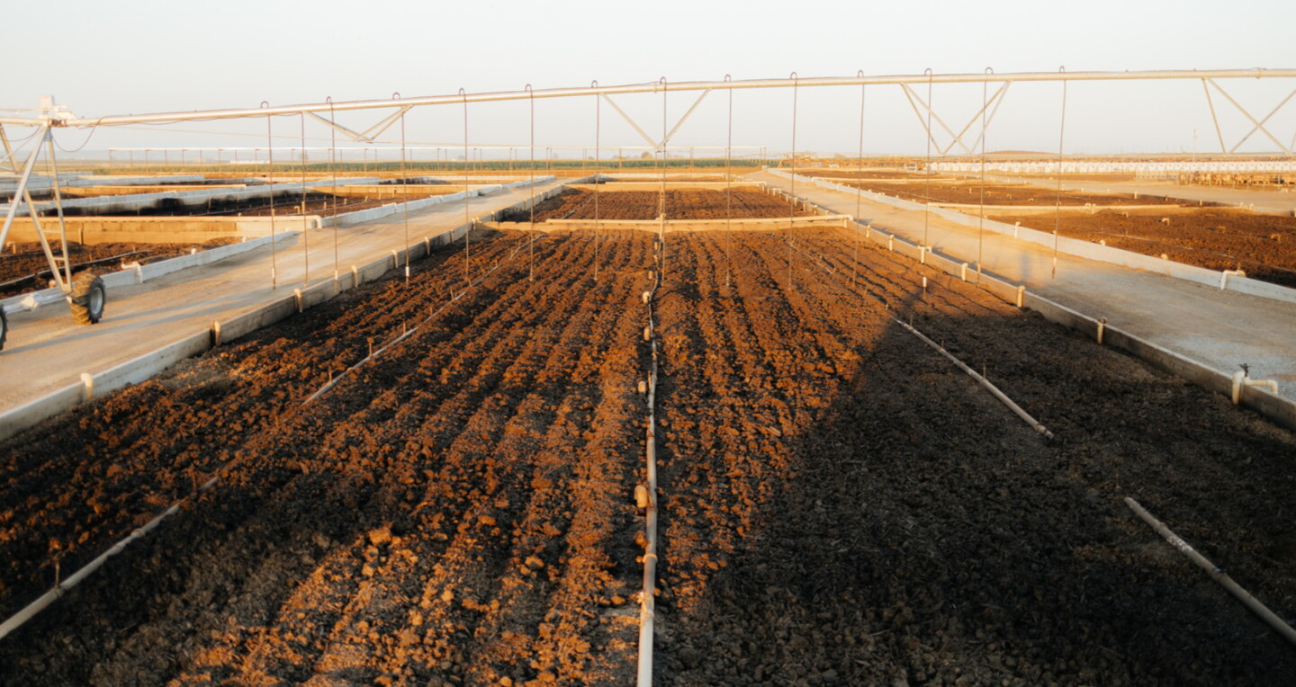 Ebf Farming Roya Washington Grower Shares How To Scale Regenerative Farming